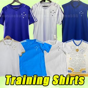 23/24 Cruzeiro EC maillots de football 100e anniversaire GIOVANNI EDU BRUNO JOSE maillots de football 2023 2024 ADRIANO Camiseta de Raposas hommes gilet d'entraînement