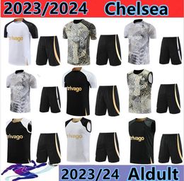 23/24 ENZO CFC voetbalshirts MUDRYK JOAO FELIX PULISIC MOUNT HAVERTZ CHILWELL STERLING jersey 2023 voetbalshirt korte mouwen kits maillot sportkleding