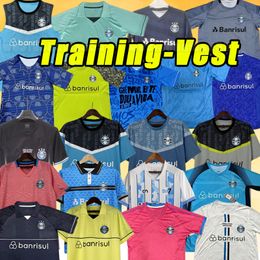 23 24 Gremio Soccer Jerseys D.Costa Guild Giuliano 2023 2024 Ramiro Gerromel Luan Maicon Fernandinho Homens Mulher Criancas Shirts Football Training Gitive Gardin