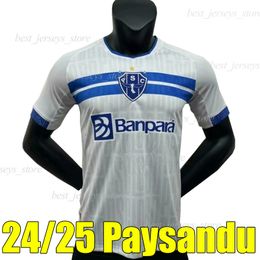 24/25 Paysandu Sport Club voetballen Jerseys Sergio 2024 2025 Hernandez Bruno Alves Dalberto voetbal Shirts Masculina Feminina Brasil Camisa Lobo Paysandu Uniform