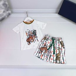 23ss marca para niños conjuntos para niños camiseta de diseñador traje de pantalones cortos Combinación de colores Mono de cuello redondo Estampado de tigre conjunto de pantalones cortos de manga corta Ropa de niños de alta calidad