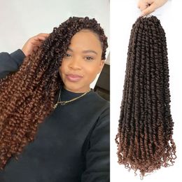 24 -inch passie Twist Haakhaar voor zwarte vrouwen 100 g/pc's Pre Twisted Passion Twist Haak Synthetische vlechthaar extensions LS01