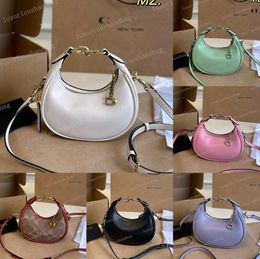 24 Nieuwe multi -colour Jonie Handtas Designer Luxe Mini Crescent Bag Fashion schoudertas Crossbody Bag make -uptas