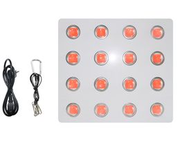 2400W LED Grow Light Full Spectrum Grow Lamp voor Greenhouse Hydroponic Indoor Plants Veg and Flower AC110V AC220V