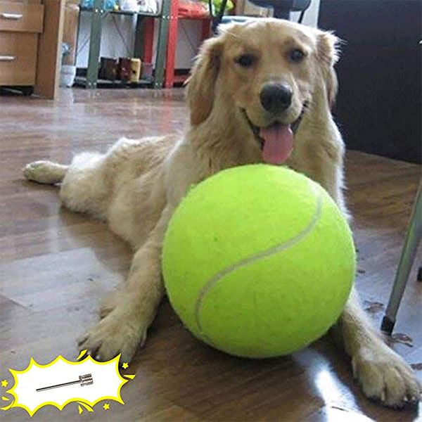 Juguetes para masticar perros de 24cm, pelota de tenis, juguetes grandes para mascotas, divertidos deportes al aire libre, pelota para perros, regalo con agujas infladas, juguetes para perros grandes
