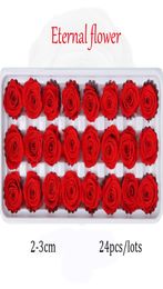 24pcs Fleurs conservées Rose Immortel Rose Mothers Day DIY MARIAGE ETERNAL VIE MATÉRIAUX DE FLORIE FLORI