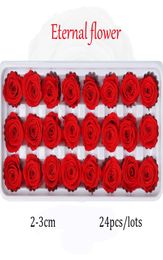 24pcs Fleurs conservées Rose Immortel Rose Mothers Day DIY MARIAGE ETERNAL VIE MATÉRIAUX FLORICE FLORI