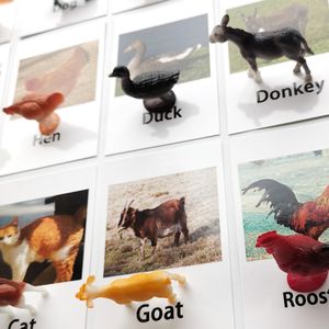 24pcs / set les jouets Montessori pour 3 ans cartes flash animaux correspondant à l'apprentissage des enfants anglais