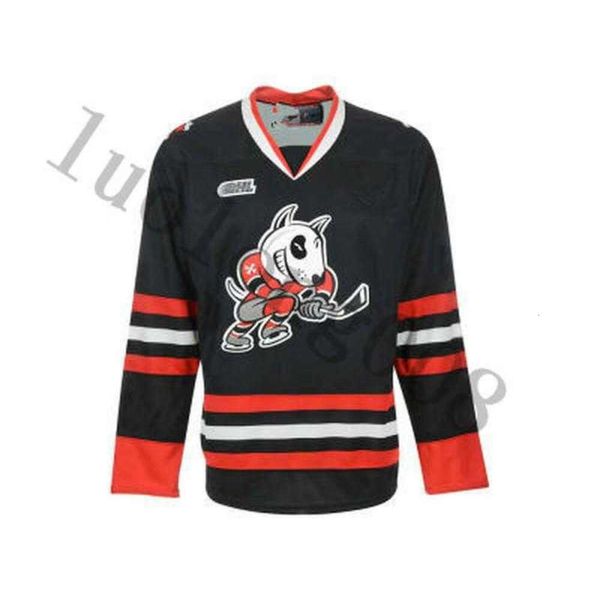 24s 2019 # Niagara Icedogs University College Hockey Jersey broderie cousée personnaliser n'importe quel numéro et nom de maillots