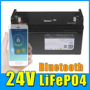 24V 100AH ​​LIFEPO4 -batterij met Bluetooth BMS 10A -oplader voor RV -inverteropslag Solar Waterdichte Case LCD -display