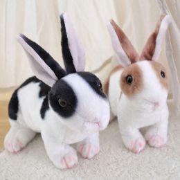 25/30 cm réaliste mignon sabbits lapins à vie animal de lapin pour lapin de lapin