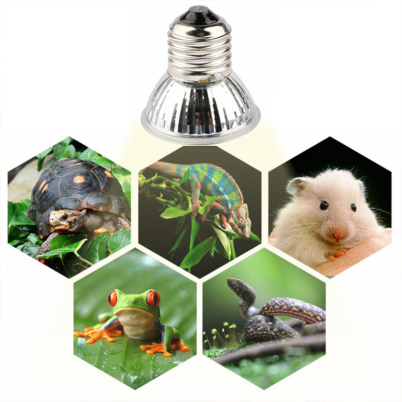 BRELONG 25/50/75W UVA+UVB 3.0 Reptile Lamp Bulb Turtle Basking UV Light Bulbs Heating Lamp Amphibians Lizards Temperature Controller