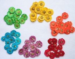 250 stks 18mm gedrukte gedroogde daisy bloem droge planten voor epoxy hars hanger ketting sieraden maken ambachtelijke diy accessoires