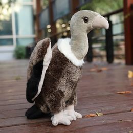 253545 cm Bird Simulate Toys Versélike Vulture Eagle Farged Wild Animal Doll Cute Home Ornament Gift 240315