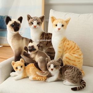 25CM Leuke Simulatie Katten Knuffels Knuffeldier Siamese Oranje Kat Pop voor Kinderen Kids Real Life Toy Home Decor Verjaardag Kerstcadeau