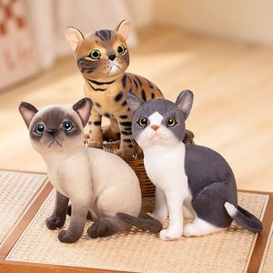 25 cm Kawaii Simulatie Pet Cat Plush Toys Cartoon Engels Korte kat Calico Cat Plushie Dolls Gevuld zacht voor kinderen Geschenken