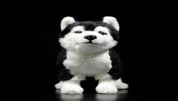 25 cm chiens husky sibérien jouet en peluche w Brownblue Eyes Life Life LifeLan Alaska Malamute Farmed Animal Toys Cadeaux de Noël LJ2011269847034