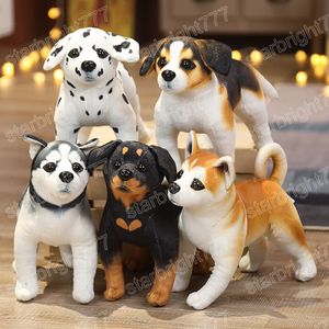 Jouets en peluche de chien mignon de Simulation de 25CM, belles poupées de chien Husky Rottweiler, jouet doux en peluche pour enfants garçons, cadeau de noël