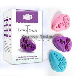 SQY Beauty Mouse Derma Roller 1380 needles Dermaroller, 3 in 1 Derma Roller for Body Treatment Blue/Purple/Pink