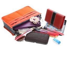 6 Colours Lady's Multi Functional Organiser Travel Bag Handbag Purse Insert with Pockets Storage Makeup Cosmetic Bag Cases Box