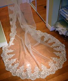 New Gorgeous Real Image Wedding Veils Three Meters Long Veils Lace Applique Crystals Sheer Tulle Cathedral Length Cheap Bridal Veil