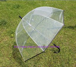 20pcs Apollo fashion pretty clear umbrella transparent Colourful trim Dome shape , 5 Colours free DHL ship