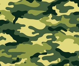 Army Camo Camouflage Arctic Car Wrap Vinyl Sticker Bomb Film with air release military Car Wrap Vehicle Styling Cover 1.52x 30m