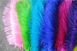 gold ostrich feathers uk