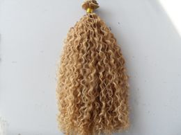 brazilian curly hair weft clip in natural kinky curl weaves unprocessed blonde human virgin remy extensions chinese hair