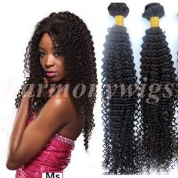 Mink Virgin Hair Weaves Brazilian Human Hair Bundles Kinky Curly Wefts Unprocessed Peruvian Indian Mongolian Bulk Hair Extensions Wholesale