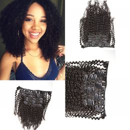 4a,4b,4c Human hair clip in hair extension Indian virgin afro kinky curly human hair G-EASY