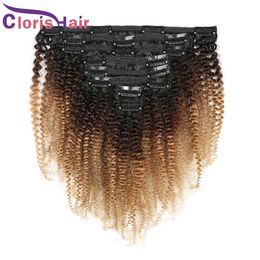 Coloured 1B/4/27 Clip On Extensions Afro Kinky Curly Brazilian Virgin Honey Blonde Ombre Human Hair Weft Clip Ins Full Head 120g 8pcs/set