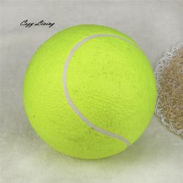 Pet Supplies Interactive Toy Dog 1 PC 24CM Giant Tennis Ball For Pet Chew Toy Big Inflatable Supplies Outdoor Toys Sporty