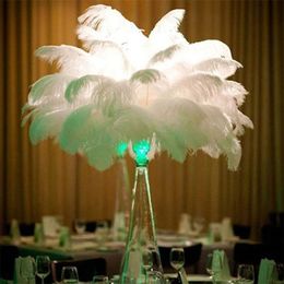 HOT 11 Colours Per lot 14-16 inch White Ostrich Feather Plume Craft Supplies Wedding Party Table Centrepieces Decoration Free Shipping