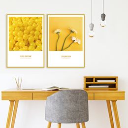 Promotion Peinture Murs Jaune Vente Peinture Murs Jaune 2019 Sur