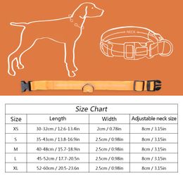 USB Rechargeable LED Dog Pet Collar Flashing Luminous Safety Light Up Nylon Dog Collar Anti-lost Pet Necklace Puppy Collars278P