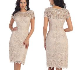 Vintage Lace Mother of the Bride Dresses Knee Length Short Sleeve Evening Gowns Plus Size Wedding Guest Dress