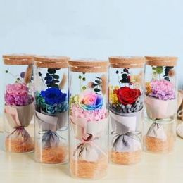 Wishing Bottle Plastic Online Shopping Wishing Bottle Plastic