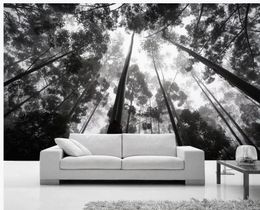 Forest black and white landscape beautiful 3d modern background wall wall mural photo wallpaper
