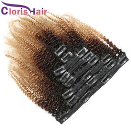 1B/4/27 Ombre Afro Kinky Curly Clip In Extensions 100% Human Hair Brown Honey Blonde Coloured Peruvian Virgin Clips On Weave Natural Curls 8pcs 120g/set