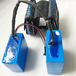 New Arriver 48V 15Ah 1000W Lithium ion Electric Bike Battery with battery bag and 54.6V 2A Charger for Ebike