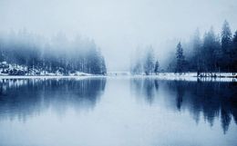 Custom wallpapers Modern minimalist forest lake snow mountain landscape wallpapers background wall decorative painting