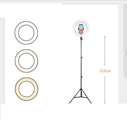 With tripod Photography LED Selfie Ring Light 26cm three-speed Stepless Lighting Dimmable With Phone Holder Makeup Video Live Studio DHL