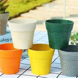 Sulu Bitki Pot sevimli hayvan Çiçek Dikim Saksı Lovely Küçük Hayvanlar Ev Bahçe Bonsai Saksılar yq00999