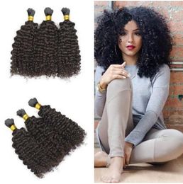 Malaysian human hair bulk for braiding afro kinky curly natural color bulks hair no weft