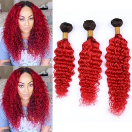 #1B Red Ombre Human Hair Bundles Deep Wave Virgin Ombre Weave Hair Bright Red Ombre Deep Wave Curly Brazilian Human Hair Extensions 3Pcs
