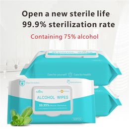 50 pcs/pack Disinfectant Wipes Portable Antibacterial Wet Wipes with 75% Ethanol Alcohol Disposable Sterilising Wet Wipes