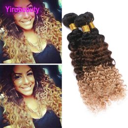 Peruvian Ombre Human Hair Three Tone Colour 1B/4/27 Deep Wave Yiruhair Curly 1B 4 27 Human Hair 3 Bundles