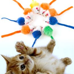 cat toys australia