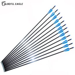 12PK New Archery Fibreglass arrows with nocks proof Fibre Glass Shaft for compound bow & recurve bow target Practise shooting